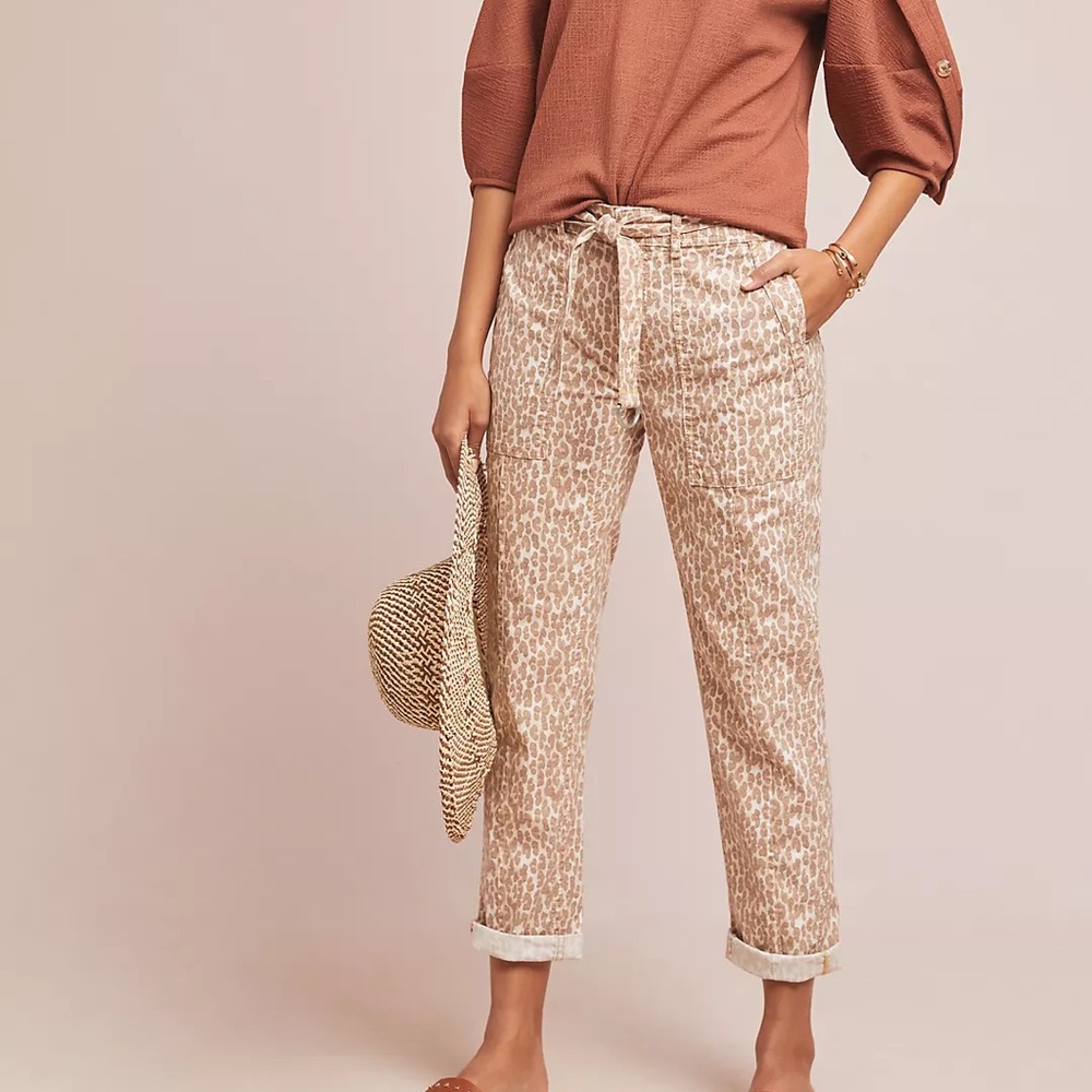 Wanderer Utility Pants